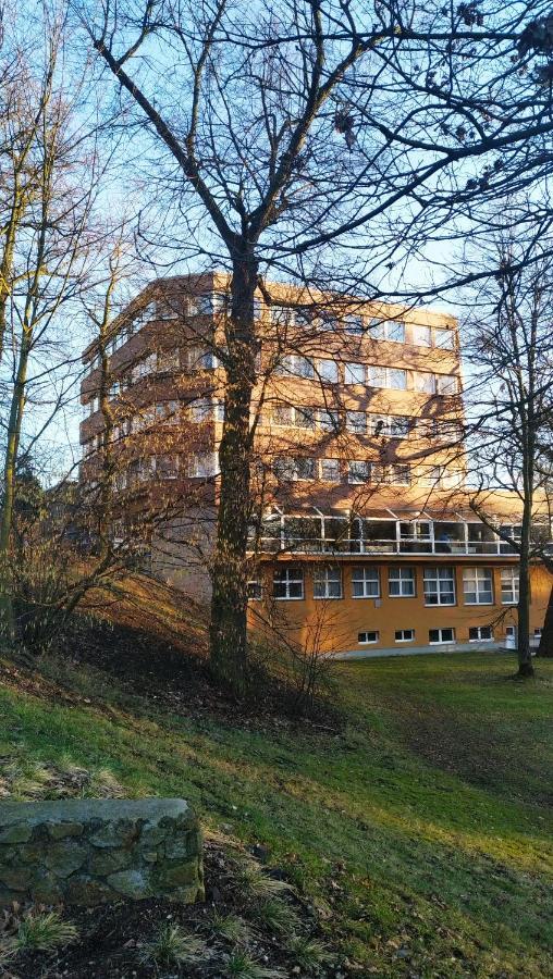 Parkhotel Sokolov Bagian luar foto